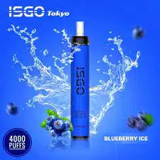 ISGO BAR 10000 Puffs Disposable Vape Lush Ice