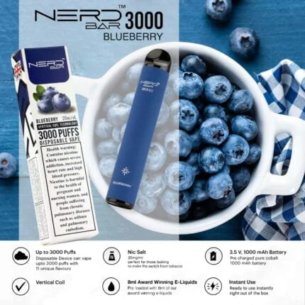 Nerd Bar 3000 Puffs Disposable Vape Blueberry Pomegranate